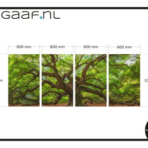 raamfolie 272,00 app 5117-2