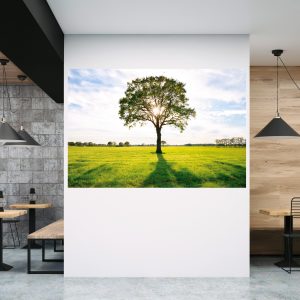 Muursticker canvas uitzicht boom rust 2A