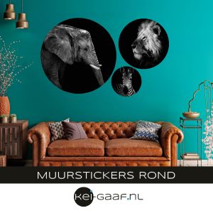 Muursticker rond olifant leeuw zebra MS-R9